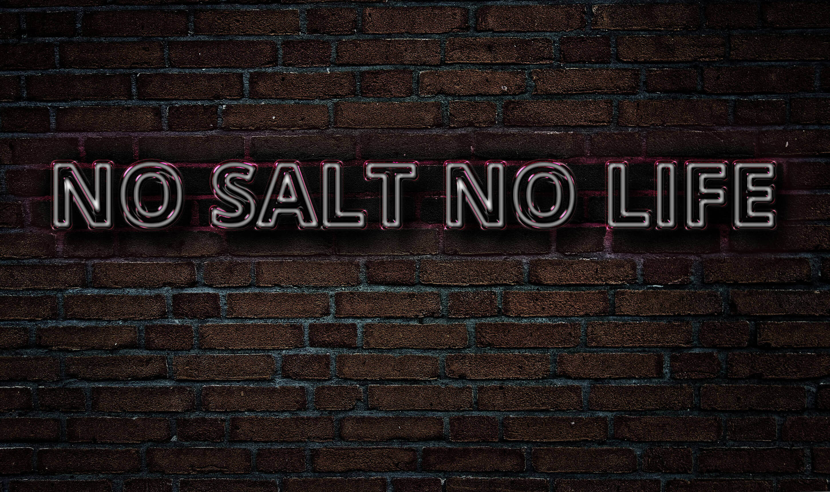 Neon No Salt No Life text on a brick wall